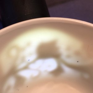 Une tasse et soucoupe en porcelaine de Chine famille rose à décor en relief d'écureuils, Yongzheng, 1723-1735 — photo 14