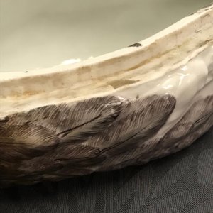 Une terrine couverte en forme de canard en porcelaine de Meissen, Allemagne, 18ème — photo 11