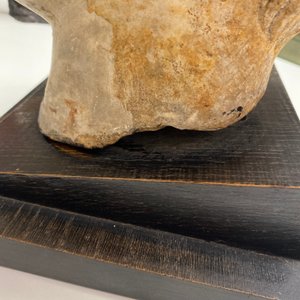 Une tête de satyre en marbre, époque romaine, 2/3ème — photo 9