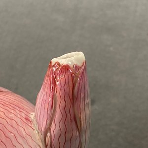 Une théière couverte en porcelaine de Chine famille rose en forme de lotus, Yongzheng — photo 23