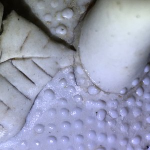 Une théière en biscuit en forme de deux pêches, Chine, Kangxi/Yongzheng — photo 13