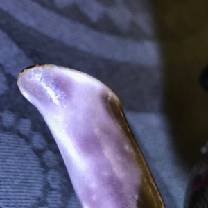 Une théière en porcelaine de Chine en forme de couple galante, République, 20ème — photo 10
