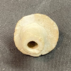 Une verseuse couverte en porcelaine de Chine de type qingbai, Yuan — photo 13