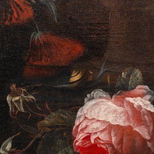Van Verendael, Nicolaes (1640-1691, attr. to): Floral still life in urn with butterfly, oil on canvas — 照片 8