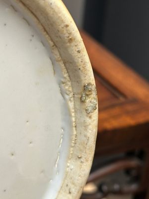 Vase en porcelaine de Chine qianjiang cai, signé Wang Xingli 汪興黎, 19/20ème — photo 19