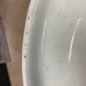 Vier Chinese blauw-witte celadon vazen, 19e eeuw — foto 17