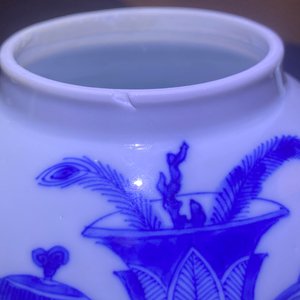 Vier Chinese blauw-witte theepotten met deksels, Kangxi — foto 8