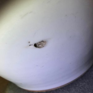 Vier Chinese famille rose en verte vazen, 19/20e eeuw — foto 9
