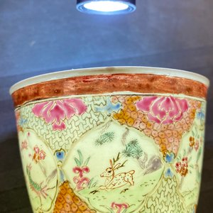 Vier Chinese famille rose koppen en schotels met dieren, Qianlong — foto 11