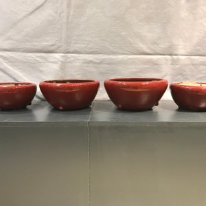Vier Chinese sang de boeuf altaarkommen, 19/20e eeuw — foto 8