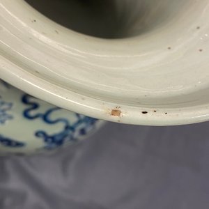Vier Chinese vazen met blauw-wit decor op celadon fondkleur, 19e eeuw — foto 7