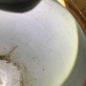 Vijf Chinese famille rose dekselvazen en  -potten, 19e eeuw — foto 24