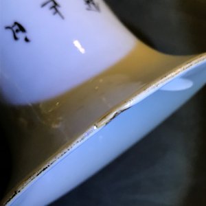 Vijf Chinese famille rose en qianjiang cai vazen, 19/20e eeuw — foto 9