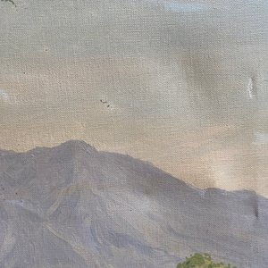 Willem Jan Pieter van der Does (1889-1966), olie op doek: 'Straatzicht in Bali' — foto 10