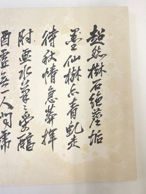 Wu Changshuo 吴昌硕 (1844-1927): Album contenant 10 sujets floraux accompagnés de calligraphie, encre et couleur sur papier — photo 23