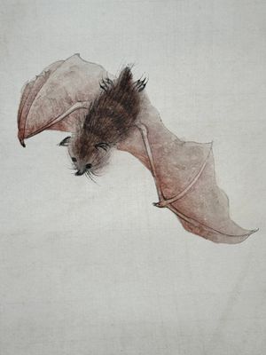 Xu Fu 徐郙 (1836-1908): 'Nine peaches and a bat', ink and colour on paper, dated 1898 — foto 7