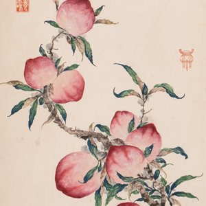 Xu Fu 徐郙 (1836-1908): 'Nine peaches and a bat', ink and colour on paper, dated 1898 — foto 1