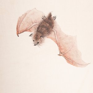 Xu Fu 徐郙 (1836-1908): 'Nine peaches and a bat', ink and colour on paper, dated 1898 — foto 7