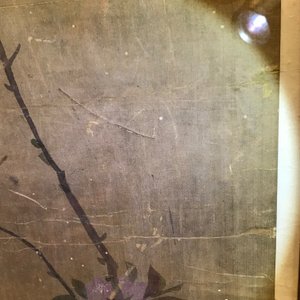 Yun Shouping (1633–1690): Bloesemtakken, inkt en kleur op papier, 17e eeuw — foto 26