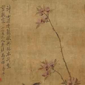 Yun Shouping (1633–1690): Bloesemtakken, inkt en kleur op papier, 17e eeuw — foto 3
