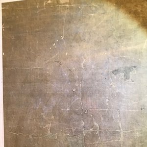 Yun Shouping (1633–1690): Bloesemtakken, inkt en kleur op papier, 17e eeuw — foto 15
