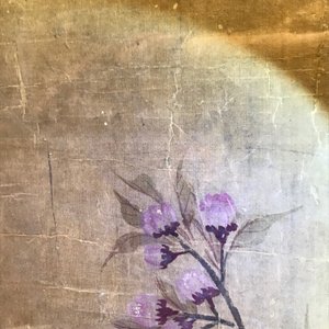 Yun Shouping (1633–1690): Branches fleuries, encre et couleur sur papier, 17e eeuw — photo 21