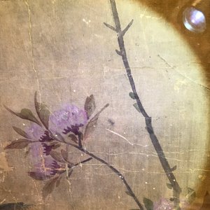Yun Shouping (1633–1690): Branches fleuries, encre et couleur sur papier, 17e eeuw — photo 27
