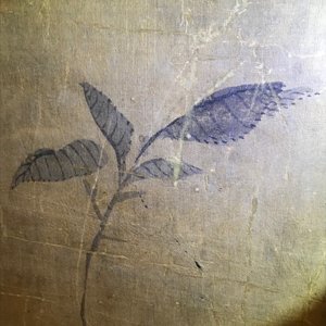 Yun Shouping (1633–1690): Branches fleuries, encre et couleur sur papier, 17e eeuw — photo 31