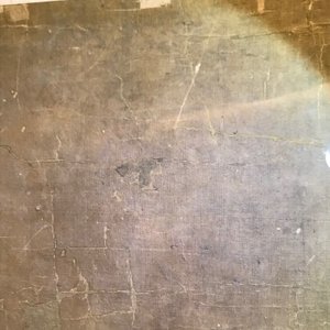 Yun Shouping (1633–1690): Branches fleuries, encre et couleur sur papier, 17ème — photo 16
