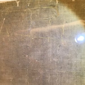 Yun Shouping (1633–1690): Branches fleuries, encre et couleur sur papier, 17ème — photo 17
