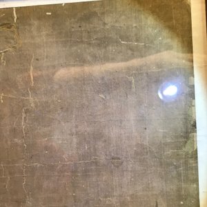 Yun Shouping (1633–1690): Branches fleuries, encre et couleur sur papier, 17ème — photo 18