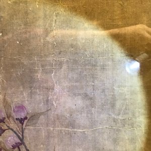 Yun Shouping (1633–1690): Branches fleuries, encre et couleur sur papier, 17ème — photo 20
