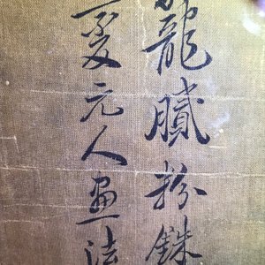 Yun Shouping (1633–1690): Flower branches, ink and colour on paper, 17th C. — 照片 12