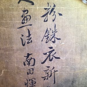 Yun Shouping (1633–1690): Flower branches, ink and colour on paper, 17th C. — 照片 13