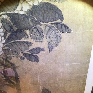 Yun Shouping (1633–1690): Flower branches, ink and colour on paper, 17th C. — 照片 35
