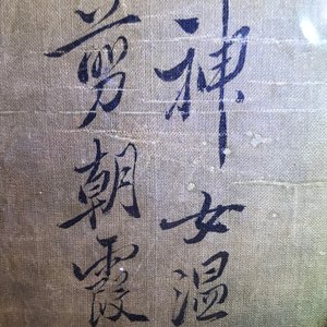 Yun Shouping (1633–1690): Flower branches, ink and colour on paper, 17th C. — 照片 10
