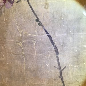 Yun Shouping (1633–1690): Flower branches, ink and colour on paper, 17th C. — 照片 24