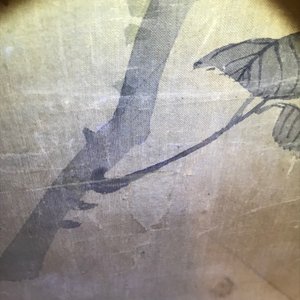 Yun Shouping (1633–1690): Flower branches, ink and colour on paper, 17th C. — 照片 43