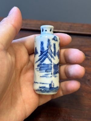 Zes Chinese blauw-witte snuifflessen, 19de eeuw — foto 21