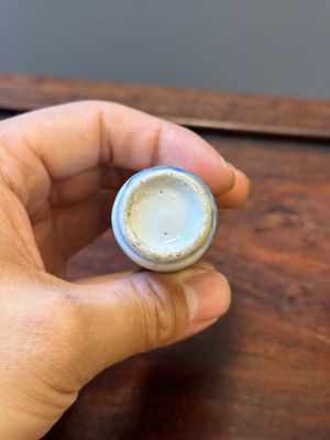 Zes Chinese blauw-witte snuifflessen, 19de eeuw — foto 24