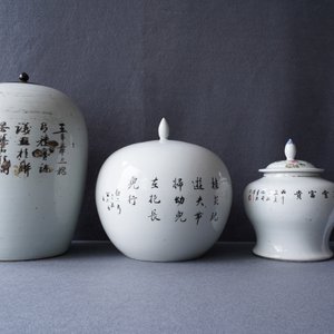 Zes diverse Chinese famille rose en qianjiang cai vazen, 19/20e eeuw — foto 18