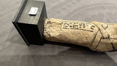 Zes Egyptische oushabti in turquoise- en groen-geglazuurde faience, Late Tijd — foto 8