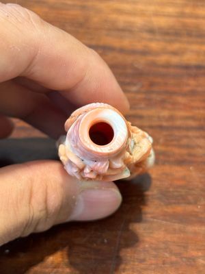 Zeven gevarieerde Chinese snuifflessen in edelsteen, bloedkoraal, glas en barnsteen, 19e eeuw — foto 17