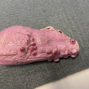 Zeven stukken Chinees monochroom roze en leverrood porselein, Kangxi en later — foto 26