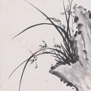 Zhang Boju 張伯駒 (1898-1982): 'Orchid', ink on paper — photo 5