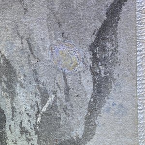 Zhang Daqian (1899-1983), inkt en kleur op papier: 'Omringd door bamboe', gedat. 1949 — foto 25