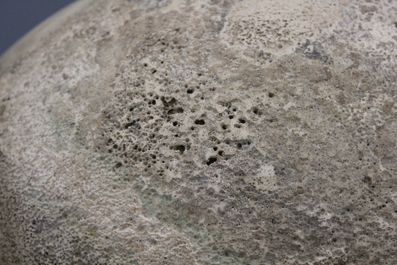 Rare oeuf intact d'un &eacute;l&eacute;phant-oiseau, Aepyornis Maximus, Madagascar, pre-17e