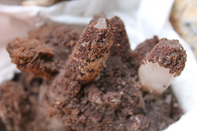 A box lot of various minerals and semi-precious stones