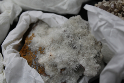 A box lot of various minerals and semi-precious stones