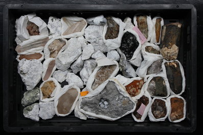 A box lot of various minerals and semi-precious stones